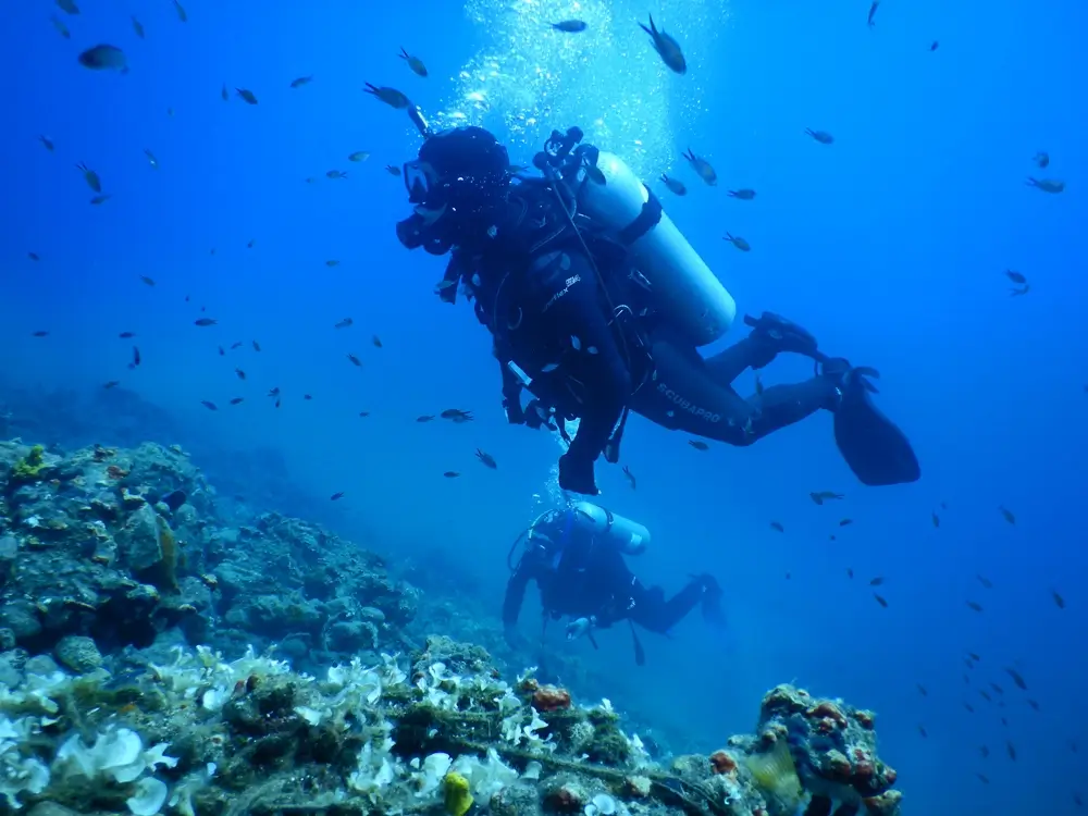 scuba diving chalkidiki